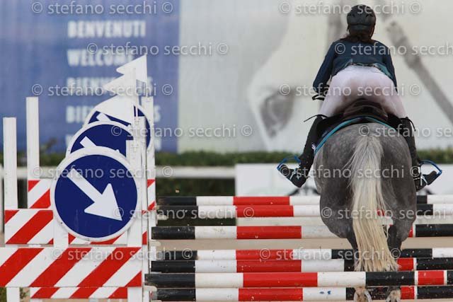 DE MICHELI_DAYTONA_GIO CAV 2011_SS3_8845.jpg